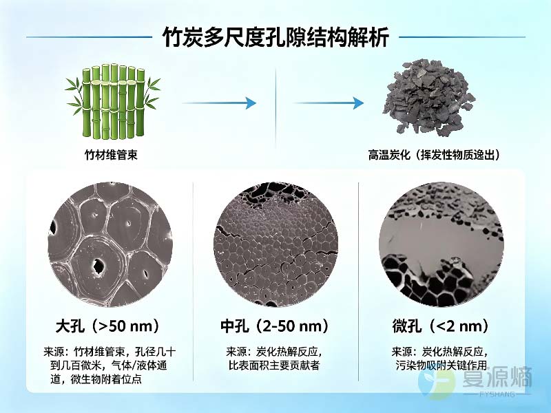 竹炭滤料的孔隙结构特征及其对微生物挂膜的影响