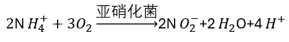 亚硝化反应