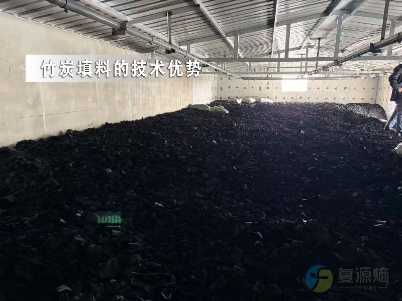 竹炭填料的技术优势